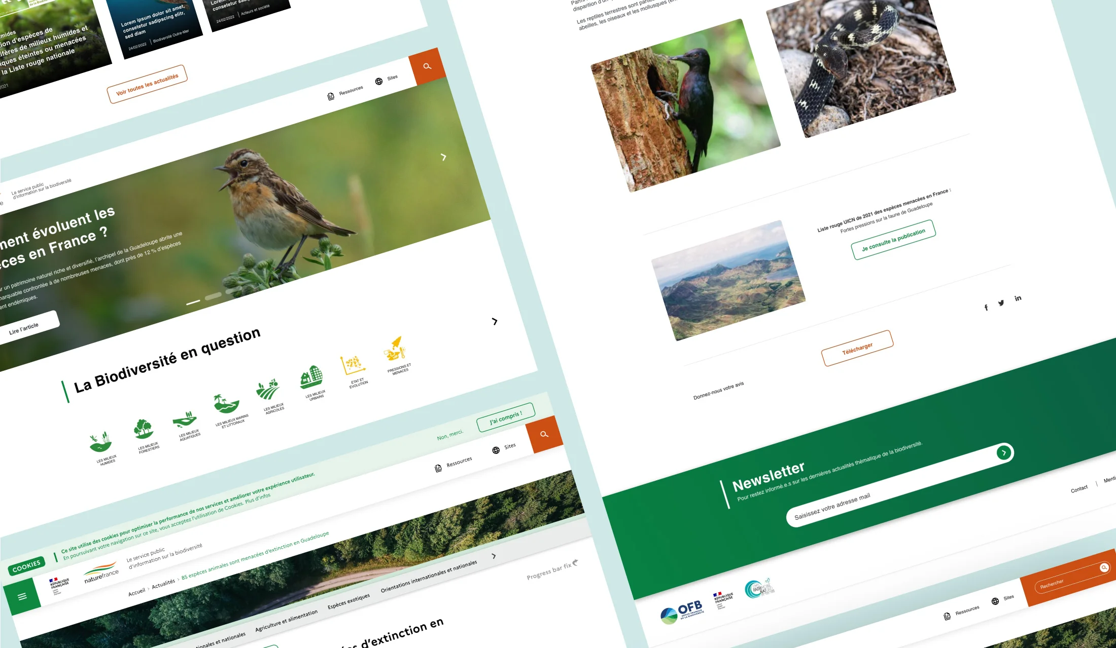 Vue des pages d'accueil et articles du site Nature France